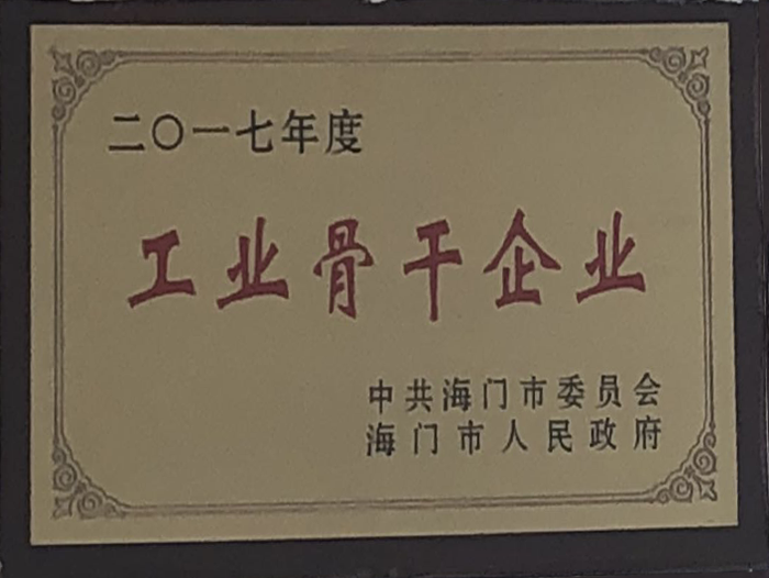 2017年度工業骨干去企業